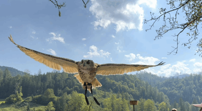 Ausflug ins Brunnental