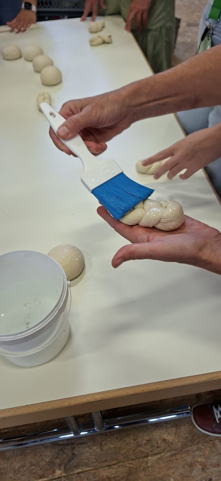 Schule und Beruf – BVJ